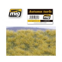 AMIG8357 ERBA AUTUNNALE...