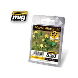 AMIG8451 CALENDULA DELLA...