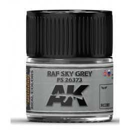 RC285 RAF SKY GREY / DKH...