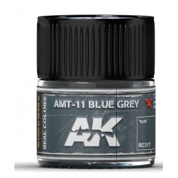 RC317 AMT-11 Blue Grey 10ml