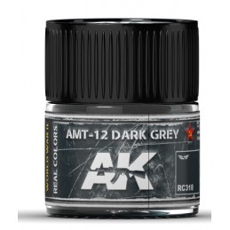 RC318 AMT-12 Dark Grey 10ml