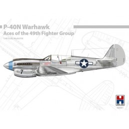 H2K48001 P-40N Warhawk Aces...
