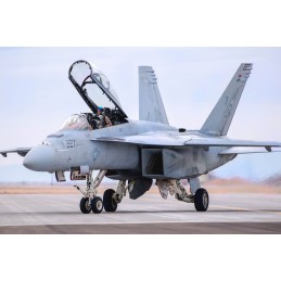 HB 85813 F/A-18F SUPER...