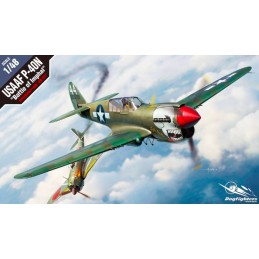 AC12341 1/48 USAAF P-40N...