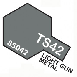 TS42 SPRAY Light Gun Metal