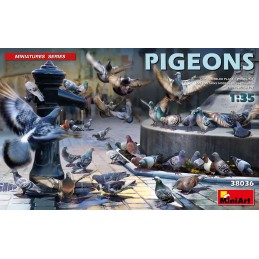 MA38036 1/35 Pigeons