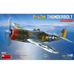 MA48032 1/48 P-47M...