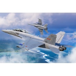 HB 85819 F/A-18F SUPER...