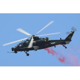 TR 05849 CHINESE Z-10G...