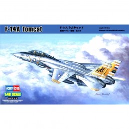 HB80366 F14 A Tomcat scala...